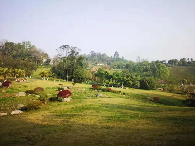 鄉(xiāng)村文化旅游丨瀘州城區(qū)這幾條鄉(xiāng)村旅游線路，你選哪個？(圖6)