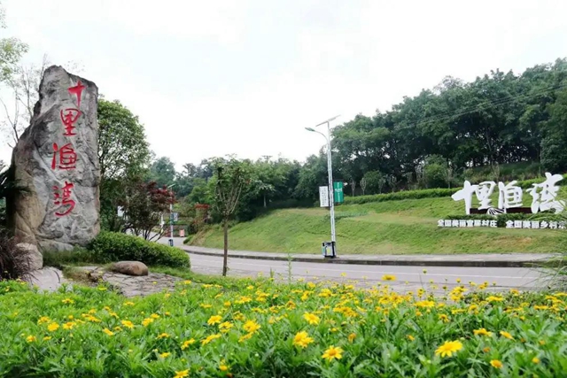 鄉(xiāng)村文化旅游丨瀘州城區(qū)這幾條鄉(xiāng)村旅游線路，你選哪個？(圖7)