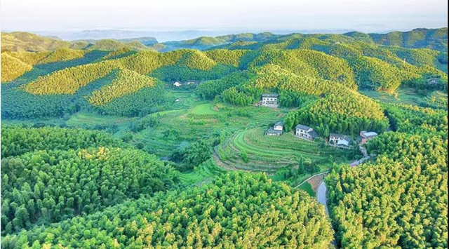 鄉(xiāng)村文化旅游丨瀘州城區(qū)這幾條鄉(xiāng)村旅游線路，你選哪個？(圖15)