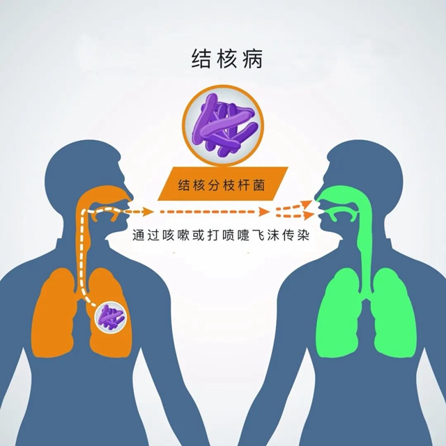 【提醒】魯迅、契訶夫……多位名人因它去世，一人感染，多人遭殃？(圖6)