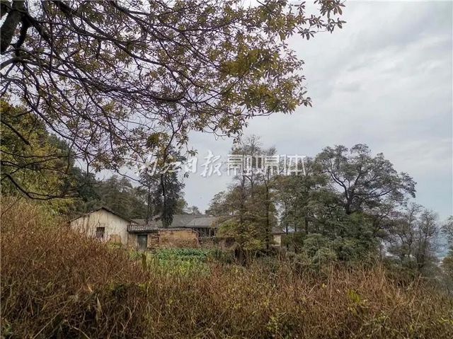 自明朝永樂(lè)年間流傳下來(lái)！這幅“山水畫(huà)”在隆昌被發(fā)現(xiàn)了(圖1)