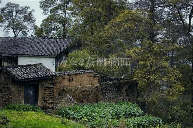 自明朝永樂(lè)年間流傳下來(lái)！這幅“山水畫(huà)”在隆昌被發(fā)現(xiàn)了(圖11)