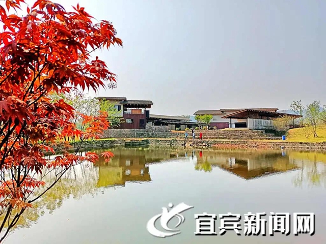 開村、春耕大典、休閑觀光...這個宜賓鄉(xiāng)村振興項目美翻了！(圖3)