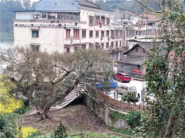 內(nèi)江市市中區(qū)龍門鎮(zhèn)是一座千年古鎮(zhèn)， 距內(nèi)江城區(qū)約30公里。  一度時(shí)期，龍門鎮(zhèn)改名為沱江鄉(xiāng)， 2015年再次改回原來的地名。 “龍門鎮(zhèn)”這名稱顯然更有古老的味道 聽起來也更覺有傳奇、有故事。  圖片 (圖10)