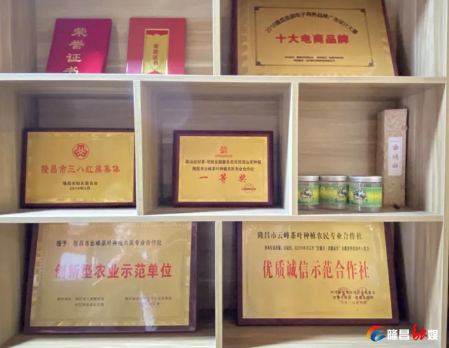哇！隆昌一深山里，藏著3000畝“金葉子”(圖7)