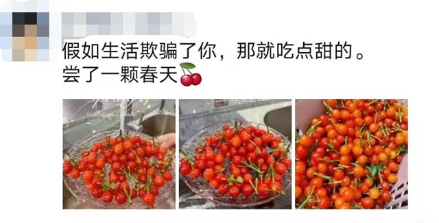 紅了！熟了！宜賓周邊櫻桃采摘攻略來啦！現(xiàn)在去正好！(圖3)