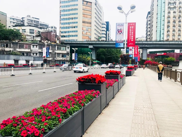 助力酒博會(huì)，100萬盆鮮花妝點(diǎn)酒城！(圖6)