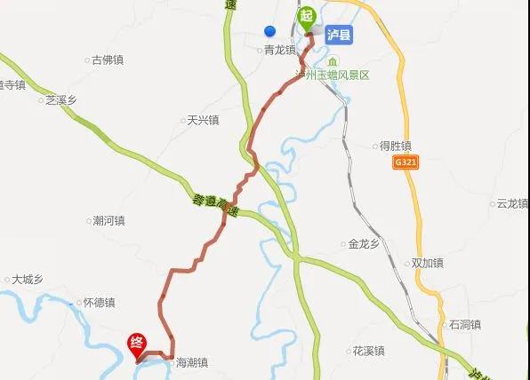 又大又甜！瀘縣這里的枇杷熟了(圖11)