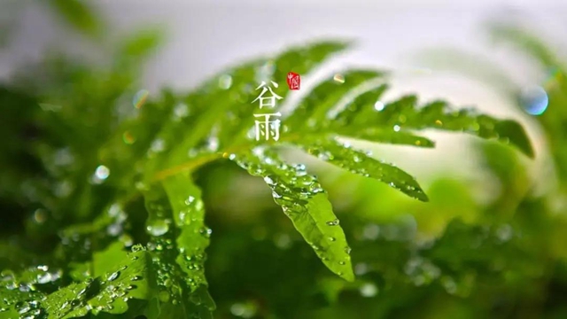 【擴散】今天起，要多吃這些食物？