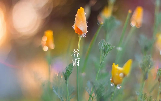 【擴散】今天起，要多吃這些食物？(圖4)