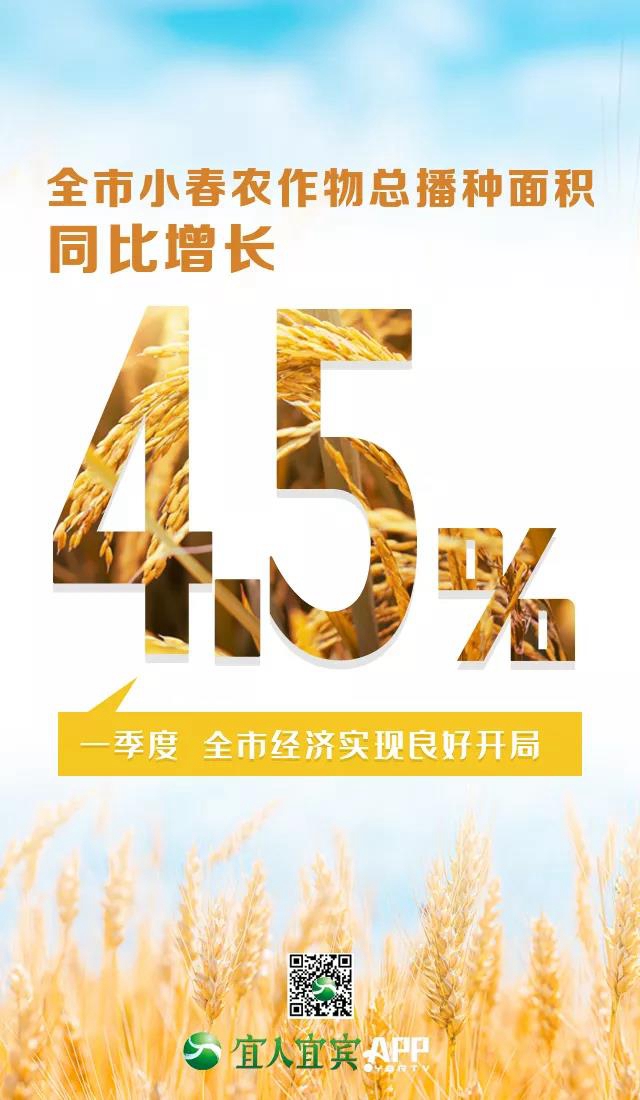 16.8%！一季度宜賓經(jīng)濟(jì)增速跑贏全省(圖3)
