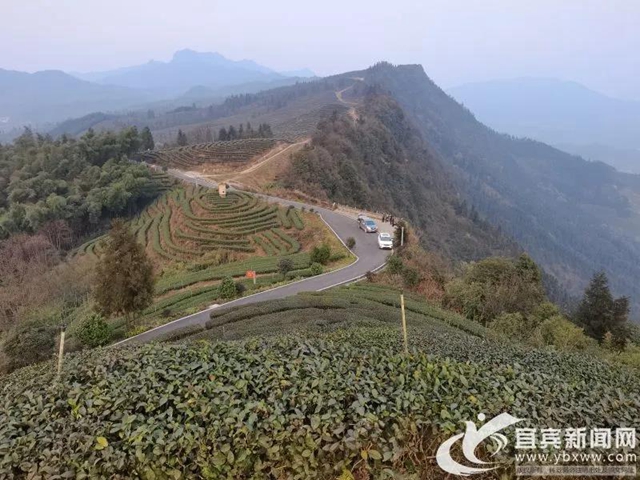 16.8%！一季度宜賓經(jīng)濟(jì)增速跑贏全省(圖4)