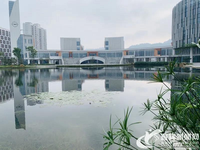 成為中國城市GDP百強城市，宜賓底氣何來？(圖5)