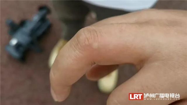 遇到請遠(yuǎn)離！紅火蟻再次現(xiàn)身瀘州......(圖4)