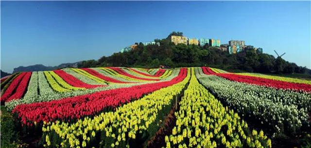 “五一”將至活動(dòng)多！瀘州這些景區(qū)邀你來打卡(圖2)