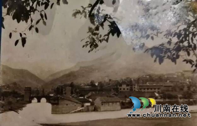 陳大剛：故鄉(xiāng)哪棵黃桷樹（小說）(圖14)