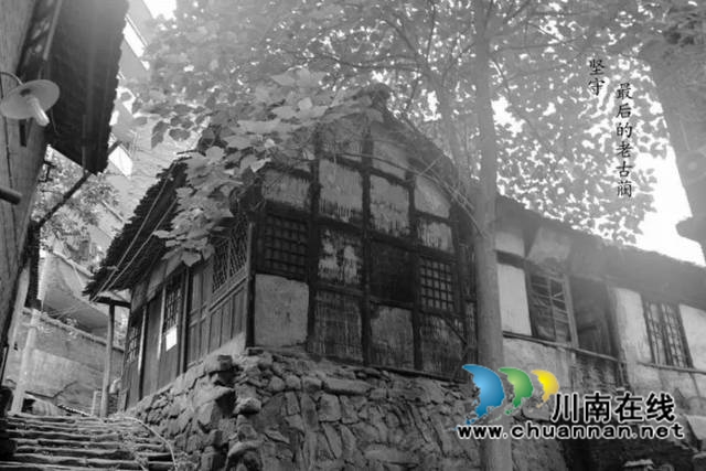 陳大剛：故鄉(xiāng)哪棵黃桷樹（小說）(圖16)