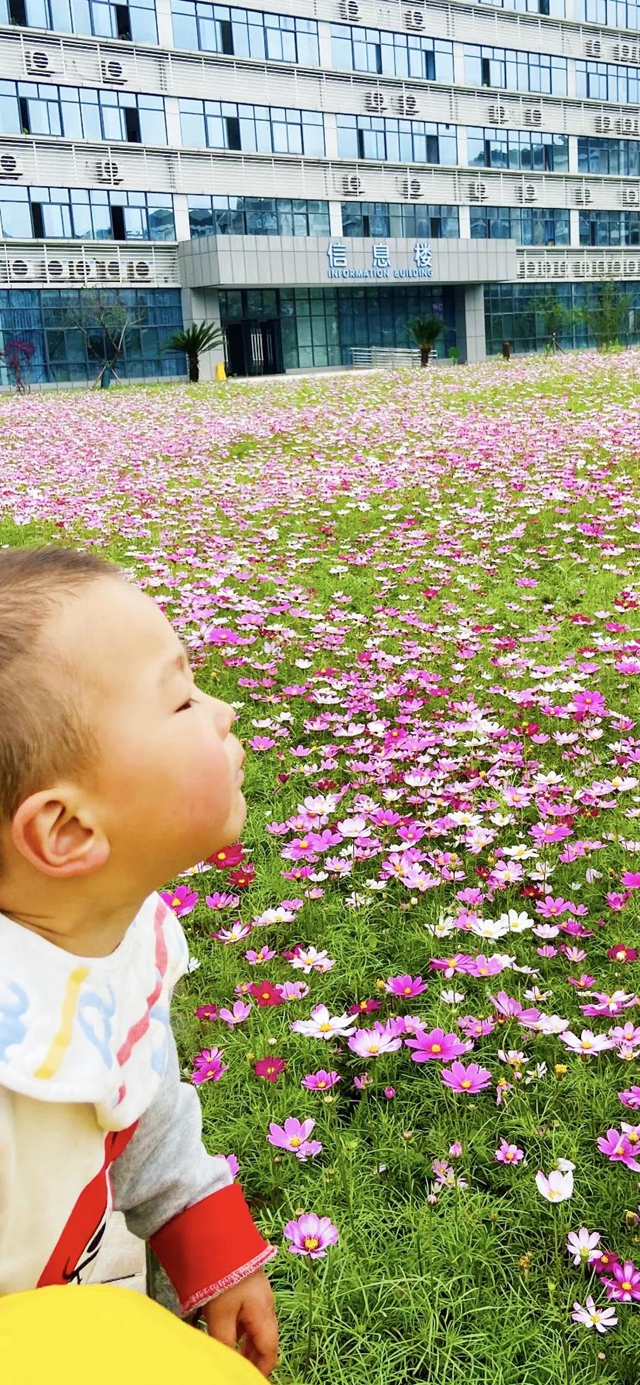 瀘州新晉網(wǎng)紅賞花地！挨斗張壩！停車、門票全免！(圖18)