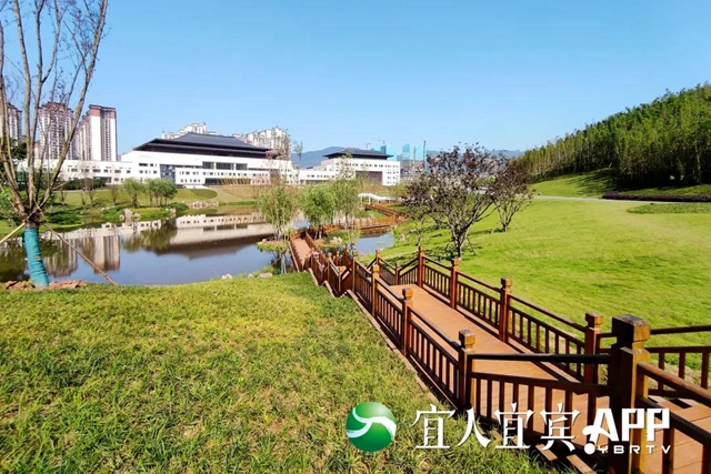 宜賓龍頭山竹文化生態(tài)公園5月1日部分開園(圖2)