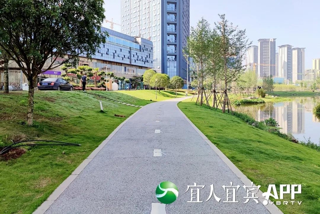 宜賓龍頭山竹文化生態(tài)公園5月1日部分開園(圖4)