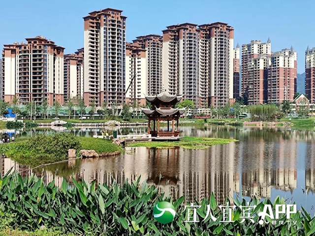 宜賓龍頭山竹文化生態(tài)公園5月1日部分開園(圖5)