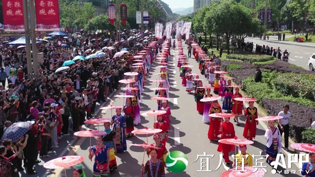 一睹為快！宜賓萬(wàn)人“踩花山” 場(chǎng)面超震撼(圖2)