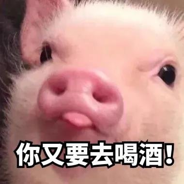 “五一”假期，如何練酒量？(圖2)