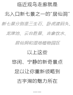隆昌古宇湖最！酷！玩！法！你pick哪一個？(圖41)