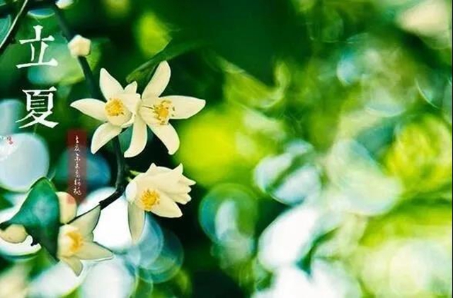 立夏了！今日起多吃5種食物(圖7)