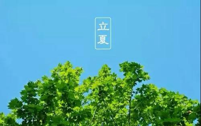 立夏了！今日起多吃5種食物(圖5)