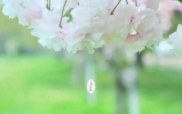 立夏了！今日起多吃5種食物(圖6)