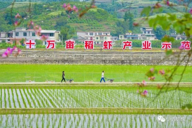 板眼多、樂翻天、雙增長...“五一”假期宜賓旅游實現(xiàn)爆發(fā)式增長！(圖14)