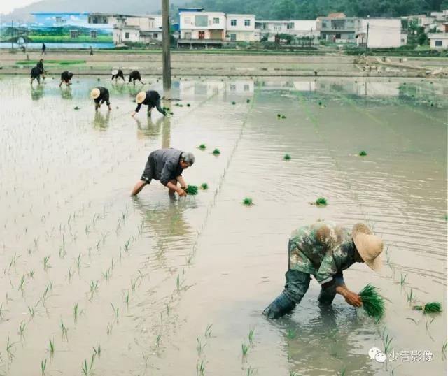 板眼多、樂翻天、雙增長...“五一”假期宜賓旅游實現(xiàn)爆發(fā)式增長！(圖15)