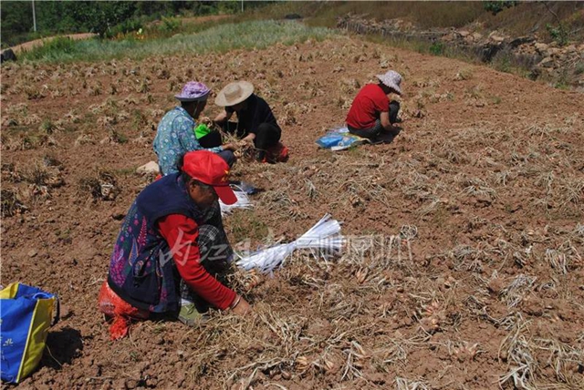在內(nèi)江，它算哪根蔥？一“開(kāi)價(jià)”就是8000多萬(wàn)(圖2)