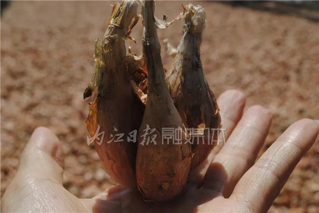在內(nèi)江，它算哪根蔥？一“開(kāi)價(jià)”就是8000多萬(wàn)(圖3)