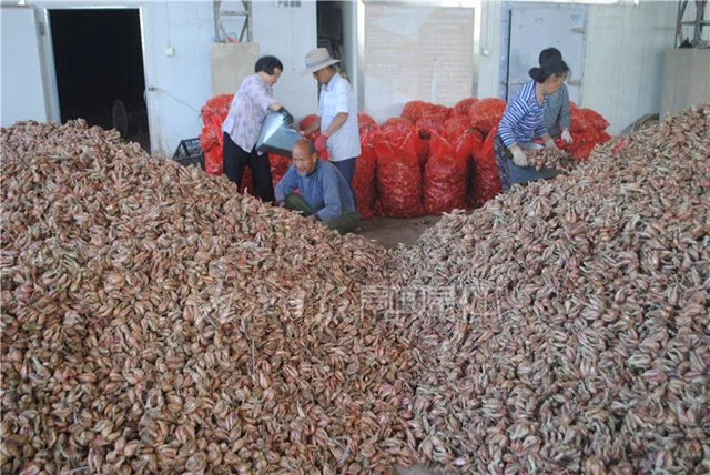 在內(nèi)江，它算哪根蔥？一“開(kāi)價(jià)”就是8000多萬(wàn)(圖6)