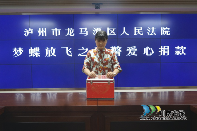 龍馬潭區(qū)法院：龍馬戰(zhàn)狼為民立命，共筑家國夢！(圖6)