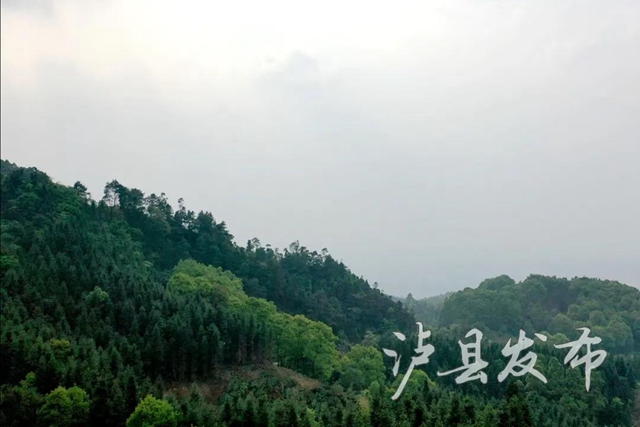 聽瀘縣老人講述，70年前這里發(fā)生的剿匪故事——(圖3)