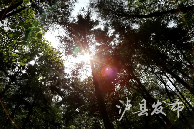 聽瀘縣老人講述，70年前這里發(fā)生的剿匪故事——(圖6)