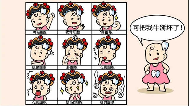 奇了怪了！“銀行”竟用來存牙齒，原因讓人驚喜(圖4)