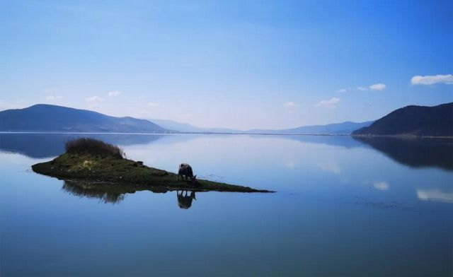 瀘州市生態(tài)環(huán)境系統(tǒng)生物多樣性保護(hù)主題攝影作品展播(圖5)