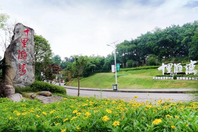 扎起！瀘州這幾條道路正在評(píng)選四川最美農(nóng)村路，等你來(lái)投票(圖4)