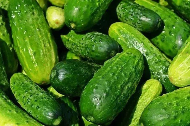 【分享】夏季吃這比西瓜還解渴，解暑又便宜!(圖1)