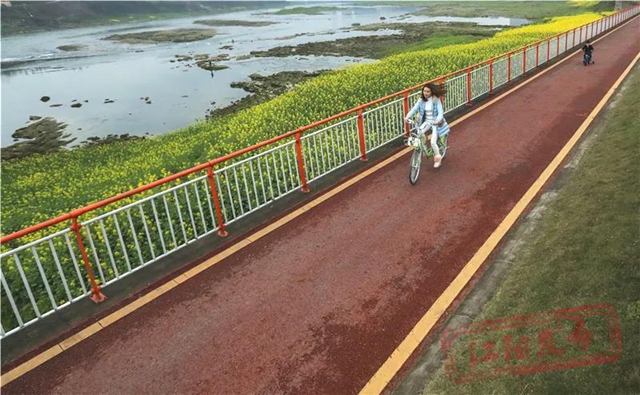 快上車，帶你去江陽“最美騎游道”兜風(fēng)！(圖6)