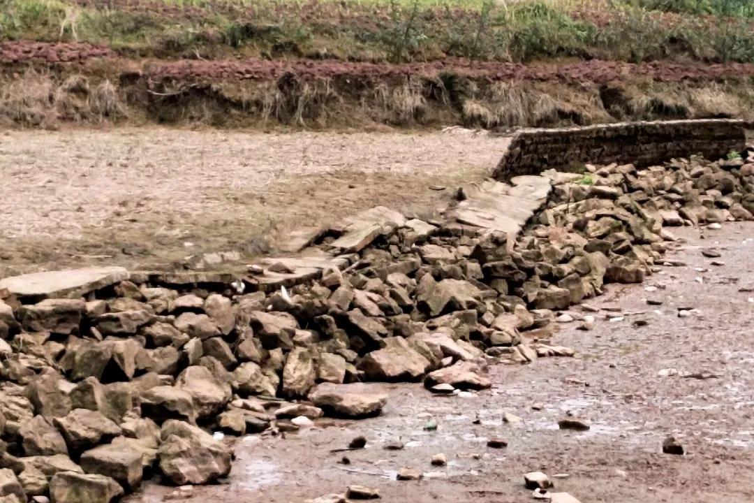 陽光問廉后，瀘縣福集鎮(zhèn)這些村（社區(qū)）“一把手”被約談(圖5)