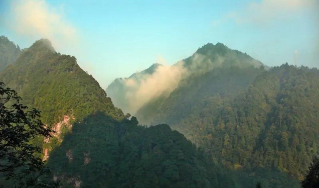 【親自然】古藺這兒的夏天繁花似錦，晶瑩璀璨……(圖15)