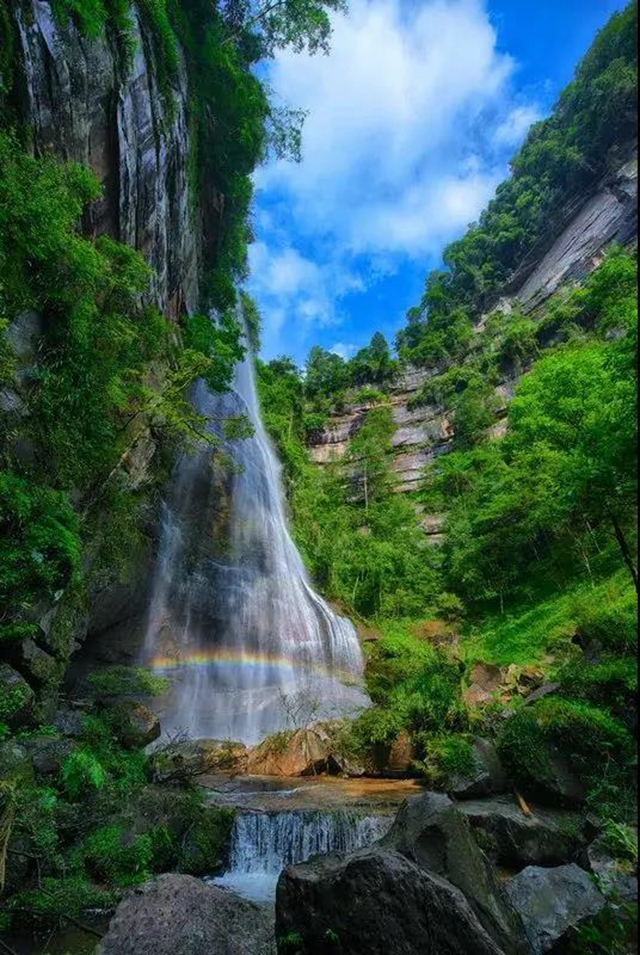 【親自然】古藺這兒的夏天繁花似錦，晶瑩璀璨……(圖17)