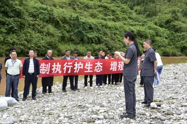 古藺非法捕撈者被判放生魚苗“補河”……(圖3)