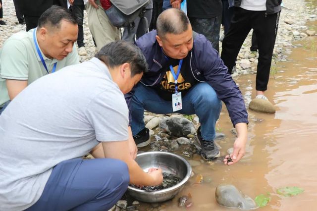 古藺非法捕撈者被判放生魚苗“補河”……(圖6)