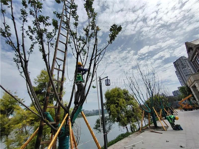 坐不住了！六段錦提升改造完成70%，內(nèi)江“外灘”初現(xiàn)雛形(圖9)